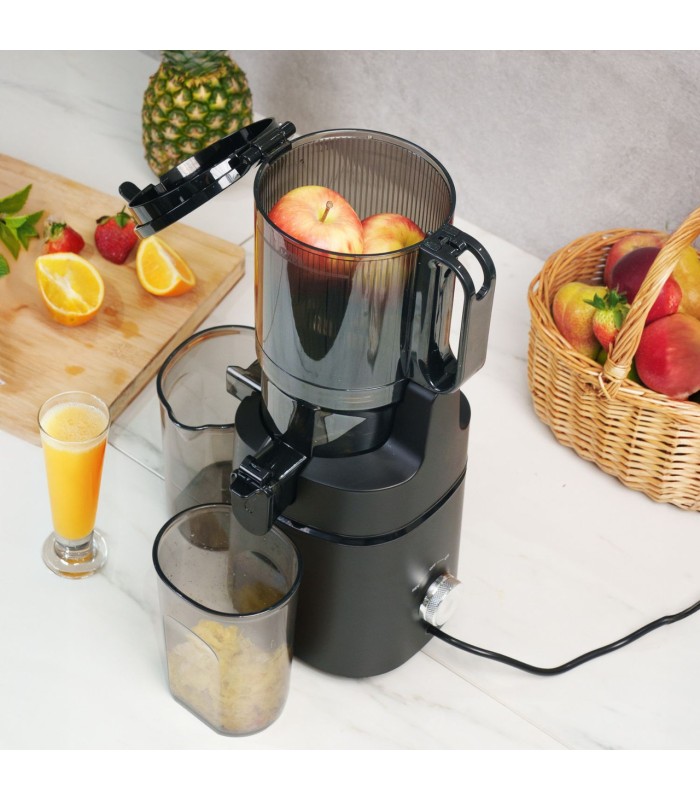 عصاره گیری عرشیا 250وات مدل SJ118-3676