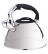کتری استیل عرشیا  stainiless-steel-kettle-arshia-sk128-2474-3l